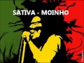 Portuguese Reggae Band LETRA / LYRICS Devias desde já saber, Ou então ter a capacidade de ver Que o caminho pelo qual optas-te entrar É aquele que mais dor parece fazer gerar Mas o sofrimento dá lugar ao alento e agora passado 'ter pouco' do que era então cinzento Foi nesse momento em... Que passaste a ser passado, Água agora deixa o meu moinho bem parado! Foi nesse momento...(yeah ah) Passaste a ser passado, Água agora deixa o meu moinho bem parado! Rende-te à condição, que não és mais do que erva Que brota! (brota) Na terra junto ao rio, plantada E um dia árvore formada, serás rei 'como fruto, contributo de valor' para quem... (para quem...) ...vier depois! Foi nesse momento em... Que passaste a ser passado, Água agora deixa o meu moinho bem parado! Foi nesse momento...(yeah ah) Passaste a ser passado, Água agora deixa o meu moinho bem parado! Amor que trassa sensação, ilusão Tudo está bem, quando se está mal Brincas, jogas, manipulas Como fosse normal. Porém nao te esqueças que poderás, vir a ser tu! Nessa situação, sofrer com a rejeição. Não te enganes, não! (Passaste a ser passado) Passaste a ser passado! Foi nesse momento em... Que passaste a ser passado, Água agora deixa o meu moinho bem parado! Foi nesse momento...(yeah ah) Passaste a ser passado, Água agora deixa o meu moinho bem parado! Não, não, não Jah não me abandonará não, não, não!