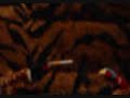 Smoking Birds