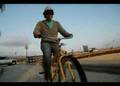 Everyday: A Beach Cruiser Story