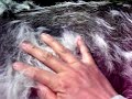 Click here to watch this video 面白いように抜ける馬の冬毛