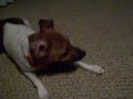 Buddy head smack