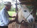 O Casarão de Cuiabá O Casarão de Cuiabá