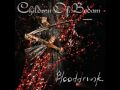 Children Of Bodom- Blooddrunk vocal cover