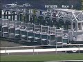 Necessary Evil Beats the Boys in the $100,000 Hollywood Juvenile Championship(GIII)
