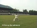 Chen Xiaojia Er-Lu Taijiquan with Master Fan Chun-Lei Chen Xiaojia Er-Lu Taijiquan with Master Fan Chun-Lei