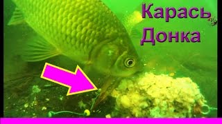 донка подводная съемка донка подводная съемка