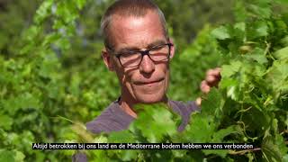 YouTube: Z de l'Arjolle Vin de France Zinfandel