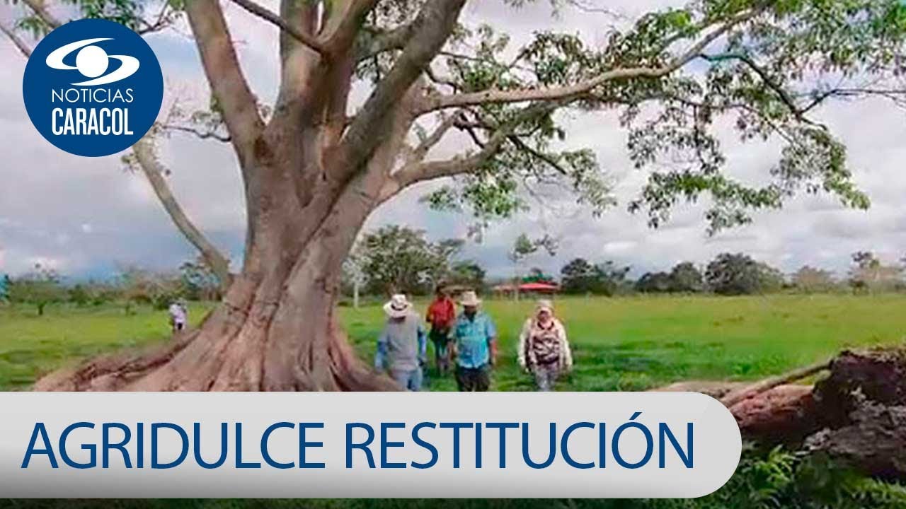 El sabor agridulce de la restitución de tierras: 10 años de vacíos y obstáculos | Noticias Caracol