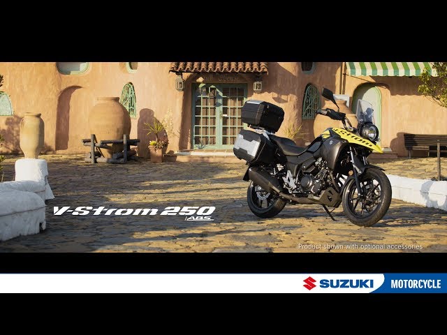 V-STROM 250 ABS 2020 modell