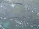 maui-whale-watching.html