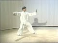 Yang Taiji, Master Yang Jun, 1 part, 103 form