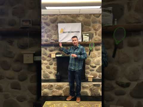 image preview of video showcasing Repairing Carpenter Bee Damage: Why & How