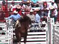 horses-illegally-shocked-at-2007-cheyenne-prca-rodeo.html