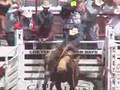 Horses Illegally Shocked at 2007 Cheyenne PRCA Rodeo