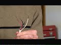 Plastic Sheathing Electrical WIre Plastic Sheathing Electrical WIre