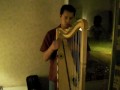 art gerst mexico lindo y jarocho solo