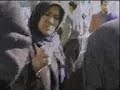 Holly tree, Imam Hosein's blood