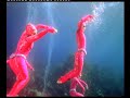 Under Water Circus