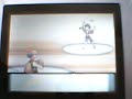 PKMN Diamante:Camino a Jericor 011
