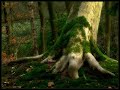 In the woods there grew a treeA fine, fine tree was heOn that tree there was a limbAnd on that limb there was a branchOn that branch there was a nestAnd in that nest there was an eggIn that egg there was a birdAnd from that bird a feather cameOf that feather was a bedOn that bed there was a girlAnd on that girl there was a manFrom that man there was a seedAnd from that seed there was a boyFrom that boy there was a manAnd for that man there was a graveFrom that grave there grew a treeIn Sumerisle, Sumerisle, Sumerisle, Sumerisle, SumerisleOn that tree there was a limbAnd on that limb there was a branchOn that branch there was a nestAnd in that nest there was an eggIn that egg there was a birdAnd from that bird a feather cameOf that feather was a bedIn Sumerisle, Sumerisle, Sumerisle, Sumerisle, SumerisleOn that bed there was a girl (Sumerisle, Sumerisle)And on that girl there was a man (Sumerisle, Sumerisle)From that man there was a seed (Sumerisle, Sumerisle)And from that seed there was a boy (Sumerisle, Sumerisle)From that boy there was a man (Sumerisle, Sumerisle)And for that man there was a graveFrom that grave there grew a tree