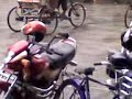 Rainfall in Biratnagar , nepal 2