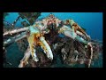 nikon d3   worlds first test under water