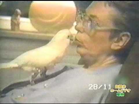 Bloopers de videos divertidos