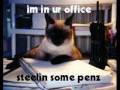 Caturday Tribute