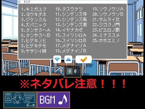 動画