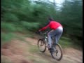 Lapino DH Lapino DH