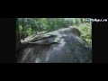 2009 KTM SX / EXC & QUAD 2009 - First ride - Test 2009 KTM SX / EXC & QUAD 2009 - First ride - Test