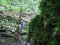 Wildbach Wildbach