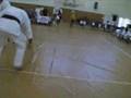 SEIDOKAN KARATE DEMO NIX DOJO 