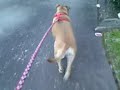 Mar 07 2008 - VID00005