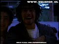 Chancho en Piedra - Yakuza