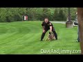 Chachi is attacked by sheep then DOG! - Dave and Jimmy