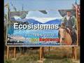 Beto Cuevas Ayuda a Salvar la Patagonia