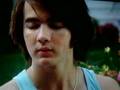birdhouse/copper rule scene camp rock