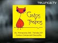 saint seiya | telurica tv 384