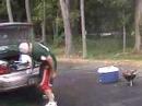 Tailgater\
