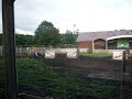 Seep and Dog Show (2)