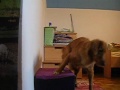 Learning to lift right legs