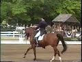 NIKOLAUS 7 & GUENTER SEIDEL Kur at 2002 WEG Selection Trial