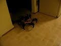 Ikariya (CH3-R) walking autonomously Ikariya (CH3-R) walking autonomously