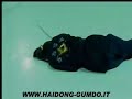 campeonato Haidong  Gumdo