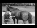 videos de Tribute to my friend Cailee (caileem20)