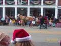 horse Christmas