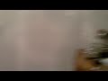 Rolo Barking