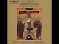 J.S Bach : Matthew Passion, Erbarme dich (Alto) J.S Bach : Matthew Passion, Erbarme dich (Alto)