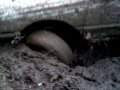 Просмотр видео